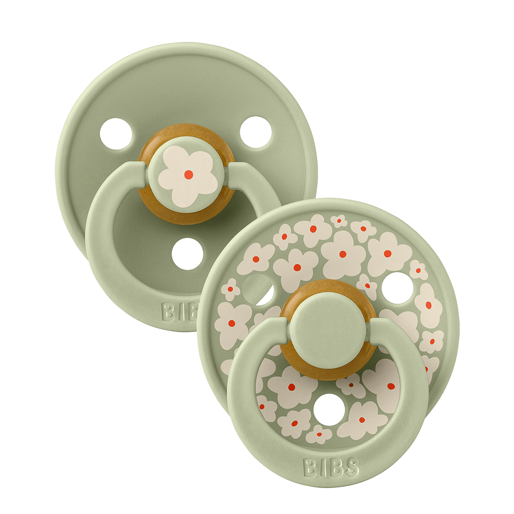 BIBS STUDIO Colour 2 Pack Pin Pacifiers - Sage Mix