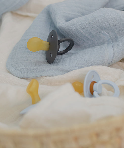 BIBS Guides Blog Expert Tips and Parenting Insights