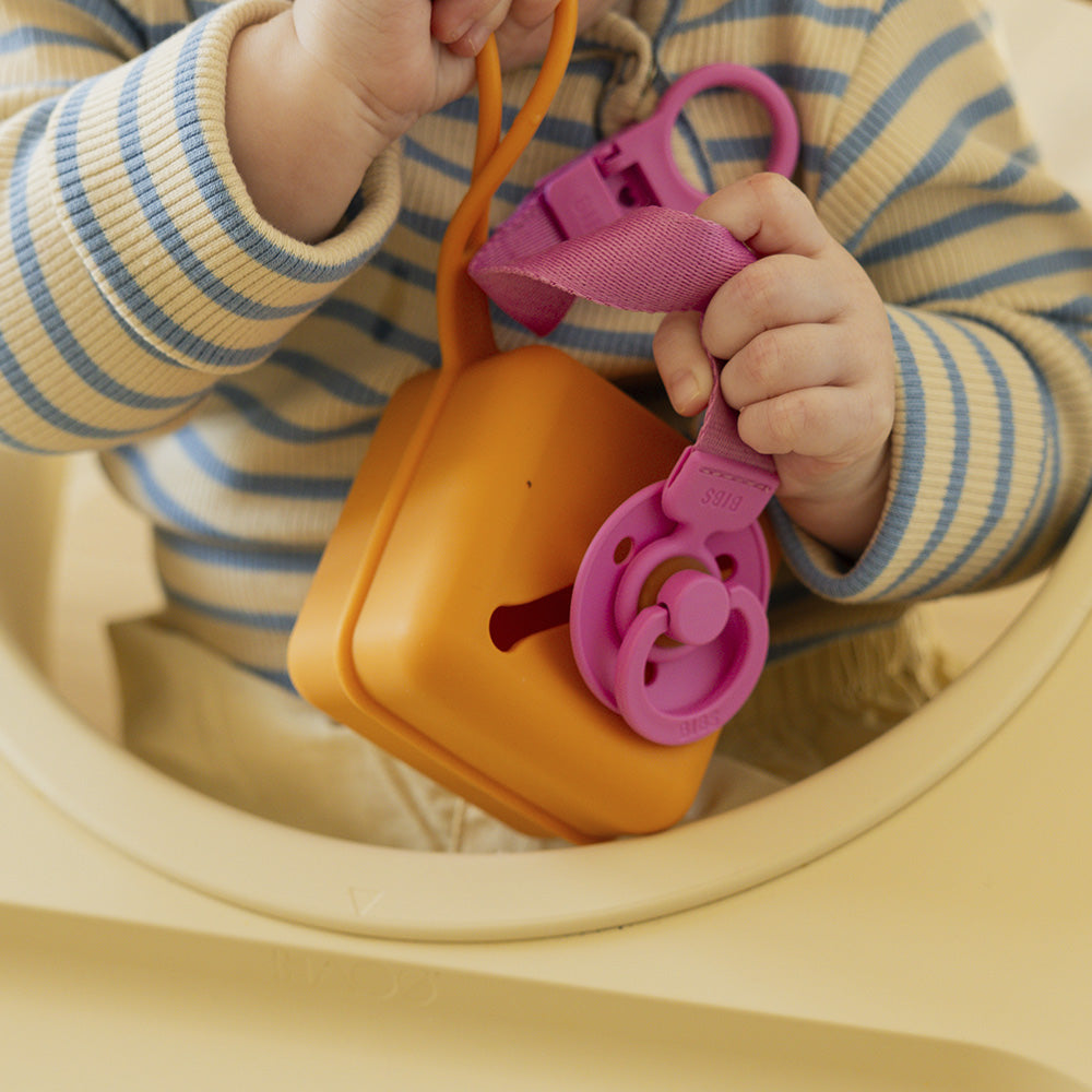 Pacifier Case - Pumpkin